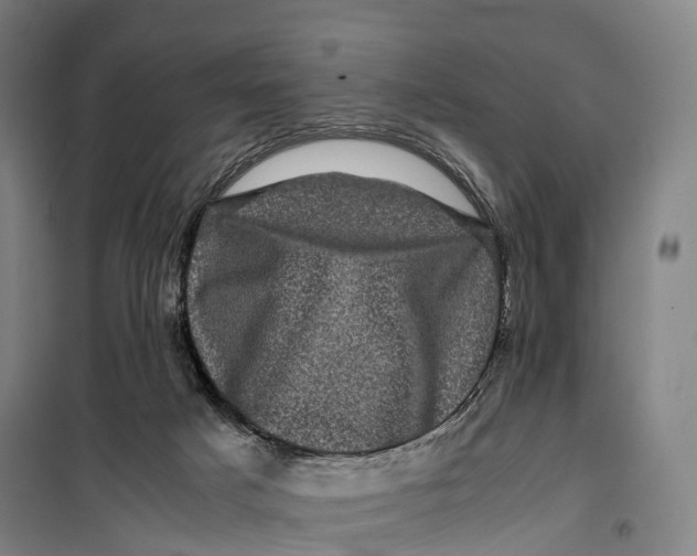 X0000099470025200805301606