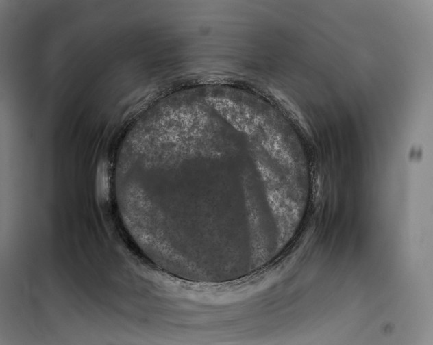 X0000099470026200805301606