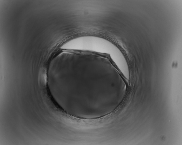 X0000099470027200805301606