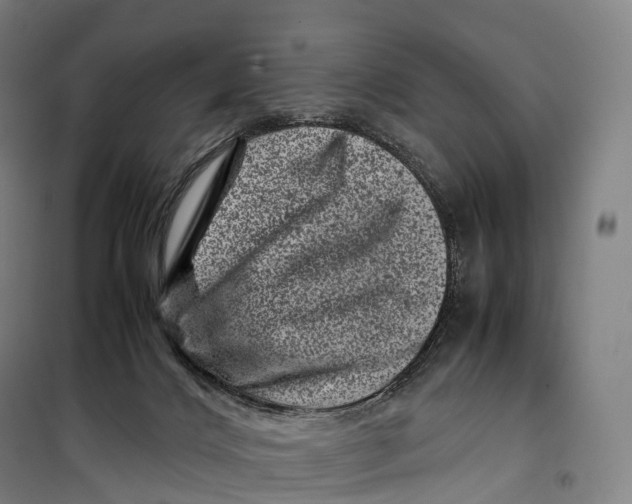 X0000099470028200805301606