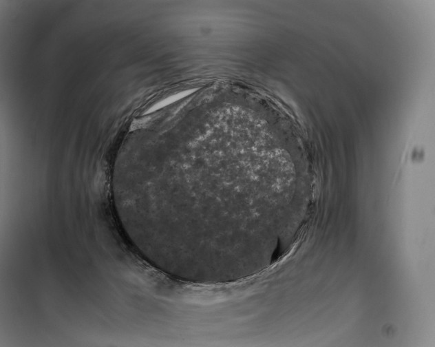 X0000099470029200805301606