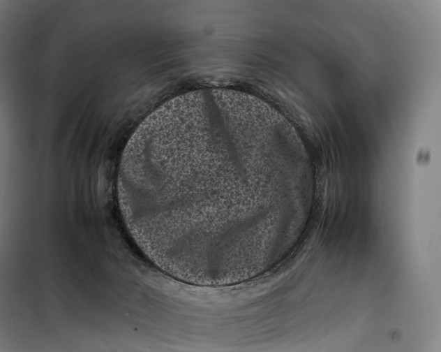 X0000099470030200805301606