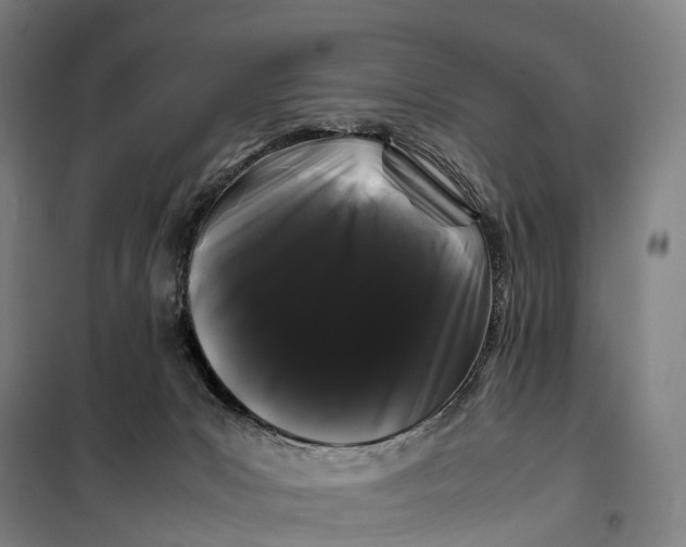 X0000099470031200805301606