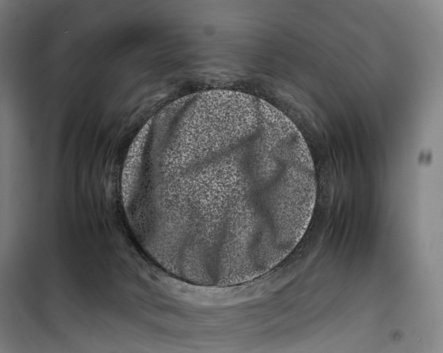 X0000099470034200805301606