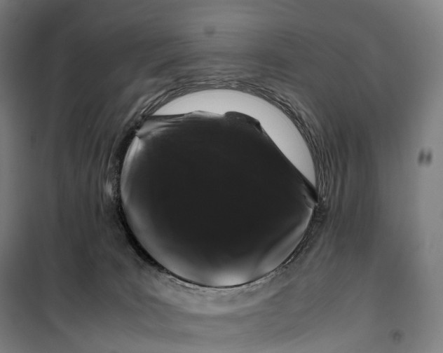 X0000099470035200805301606