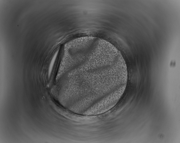 X0000099470036200805301606