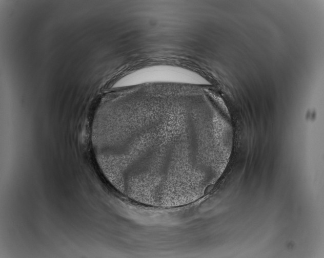 X0000099470040200805301606