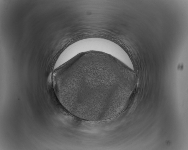 X0000099470041200805301606