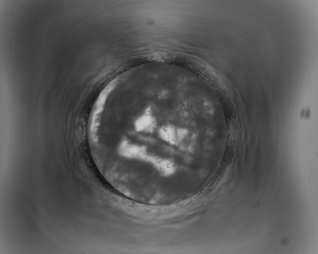 X0000099470043200805301606