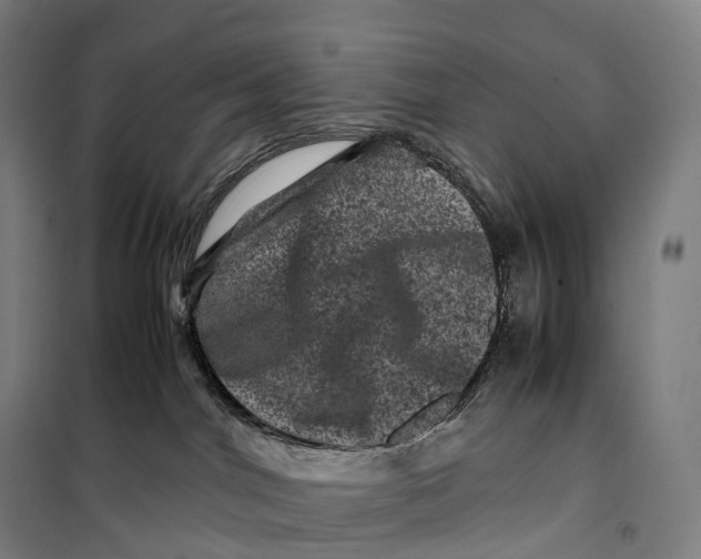 X0000099470044200805301606