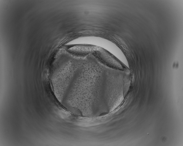 X0000099470045200805301606