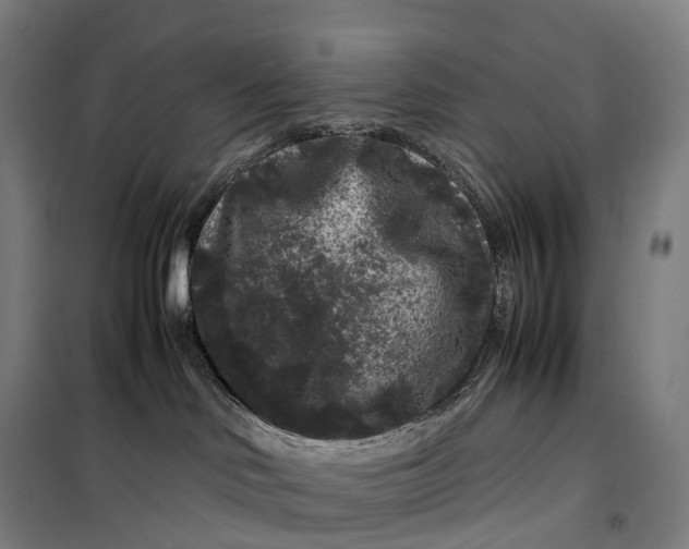 X0000099470046200805301606