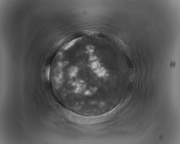 X0000099470047200805301606