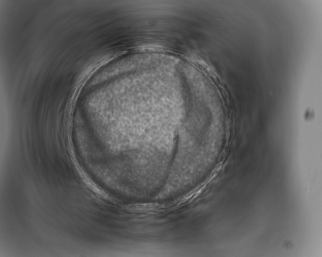 X0000099470049200805301605