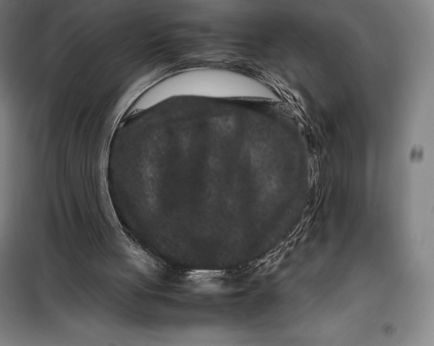 X0000099470051200805301605