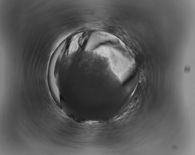 X0000099470052200805301605