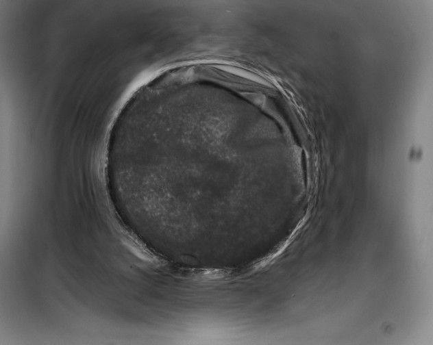 X0000099470056200805301605