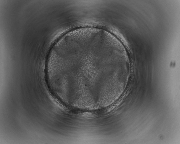 X0000099470058200805301605