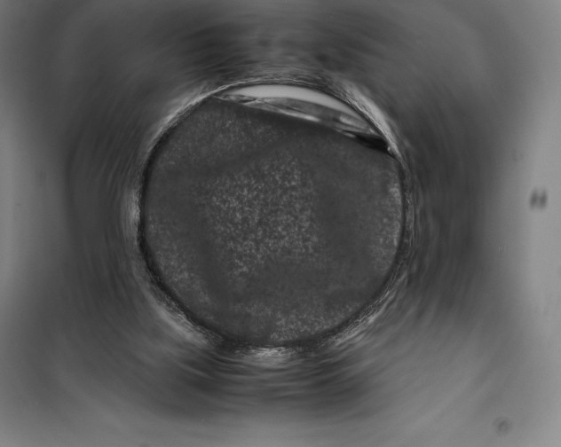 X0000099470059200805301605