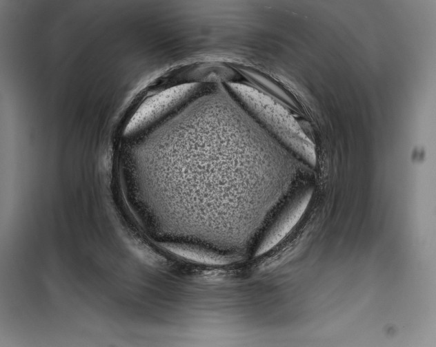 X0000099470064200805301605