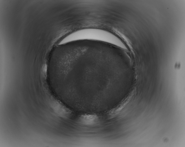 X0000099470067200805301605