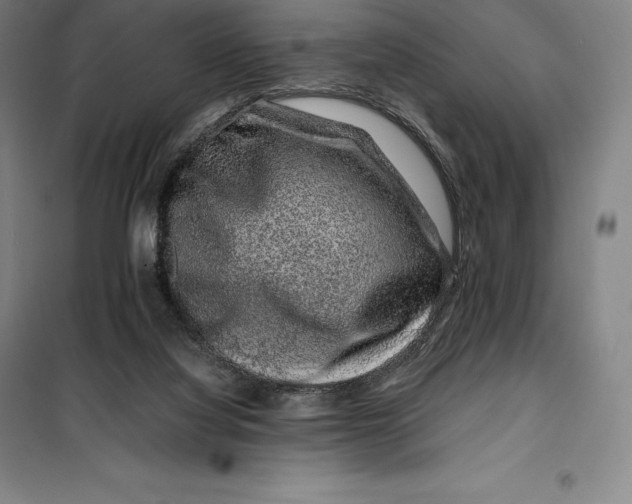 X0000099470068200805301605