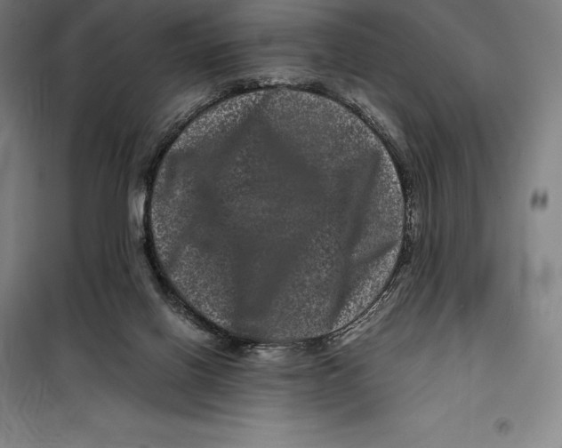 X0000099470070200805301605