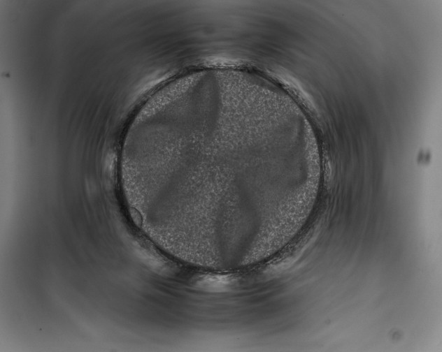 X0000099470071200805301605