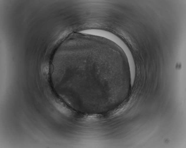 X0000099470072200805301605