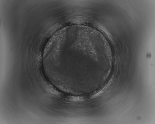 X0000099470073200805301605