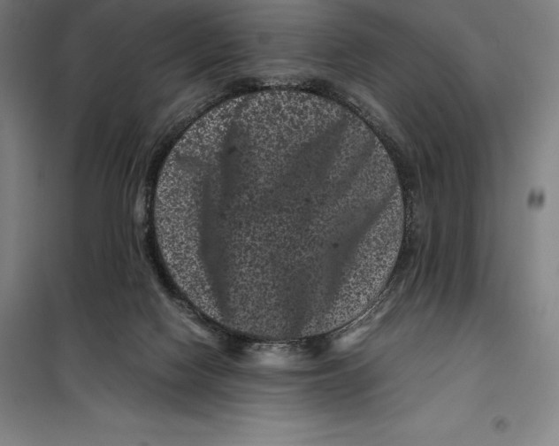 X0000099470074200805301605