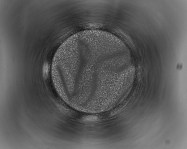 X0000099470075200805301605