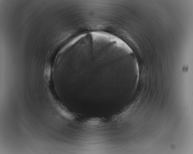 X0000099470076200805301605