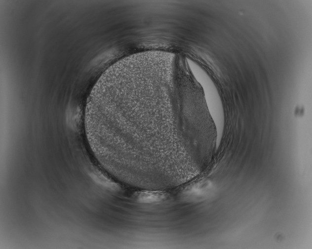 X0000099470077200805301605