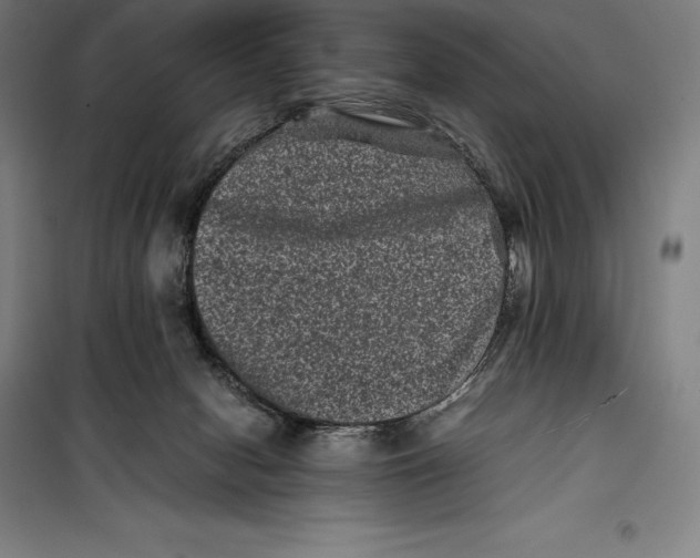 X0000099470078200805301605