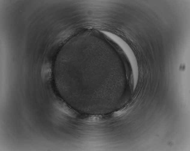 X0000099470080200805301605