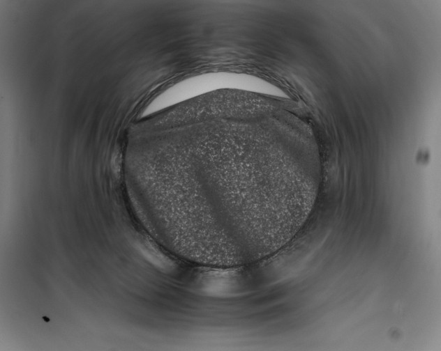 X0000099470081200805301605