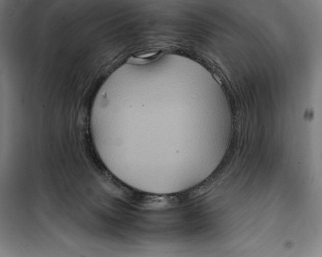 X0000099470083200805301605