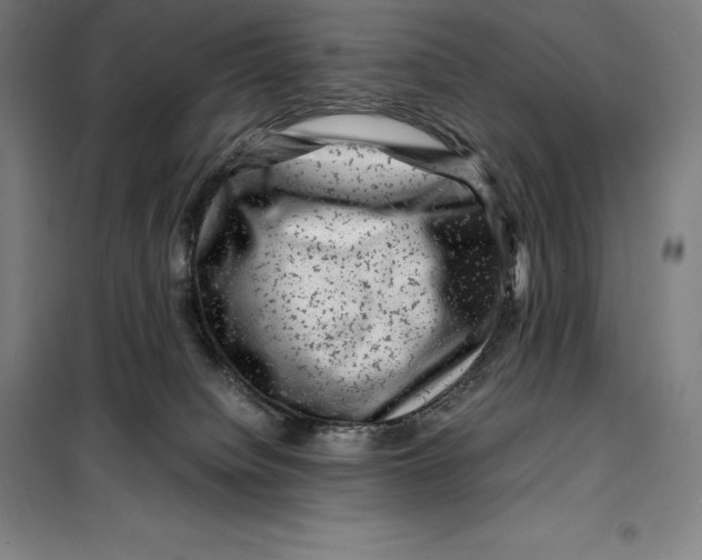 X0000099470084200805301605