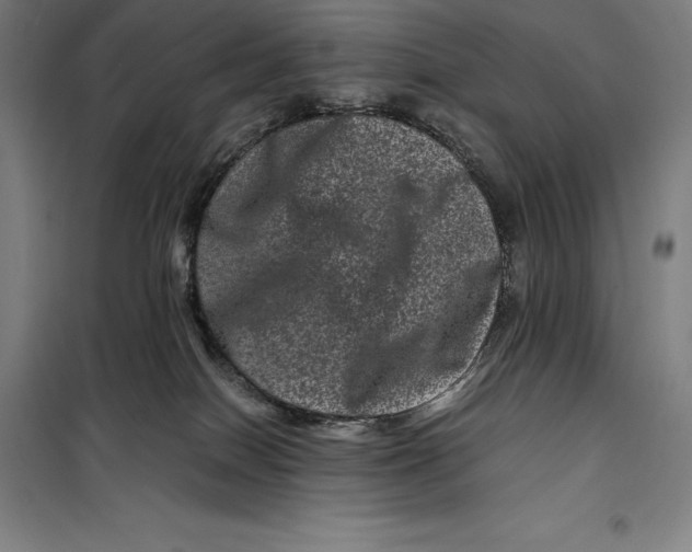 X0000099470086200805301605