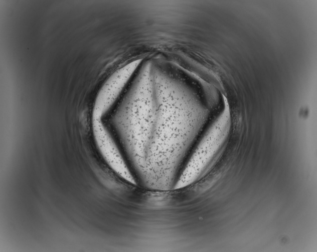 X0000099470088200805301605