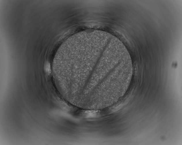 X0000099470089200805301605