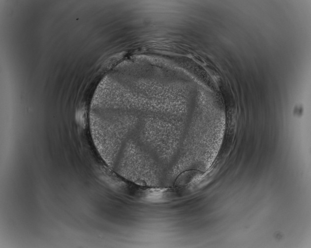 X0000099470090200805301605