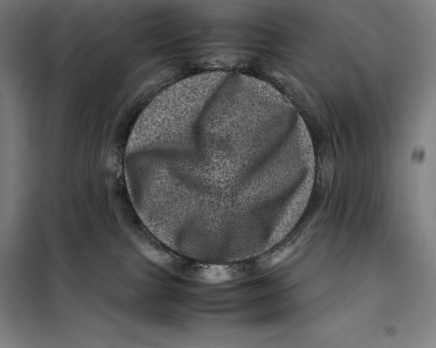 X0000099470091200805301605