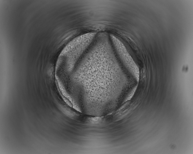 X0000099470092200805301605