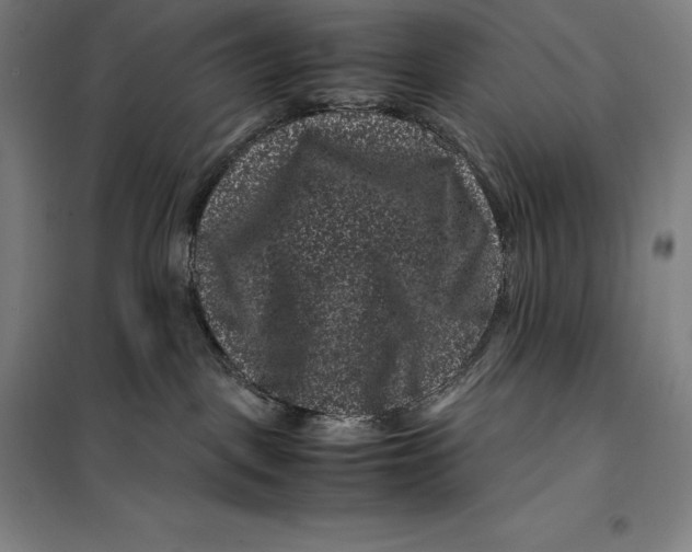 X0000099470093200805301605