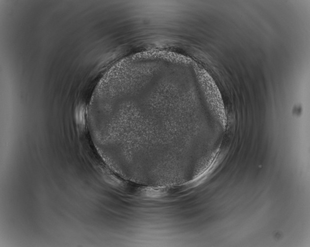 X0000099470094200805301605