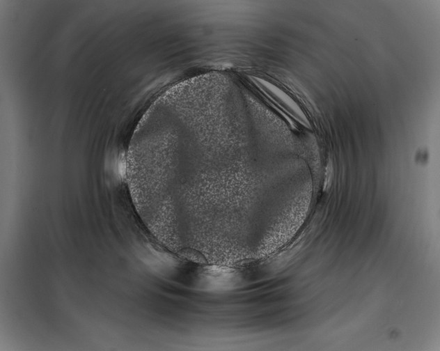 X0000099470095200805301605