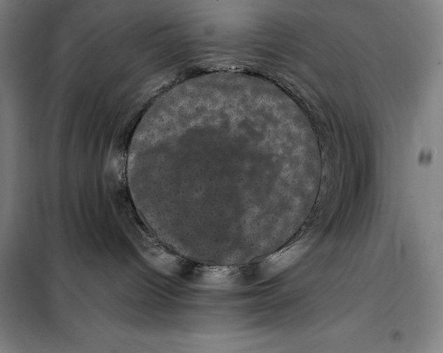 X0000099470096200805301606