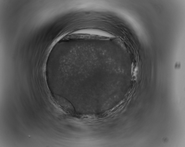 X0000099470099200805301605